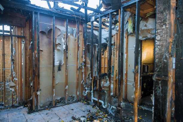 Professional Fire Damage Removal technician working in Cedar, MN
